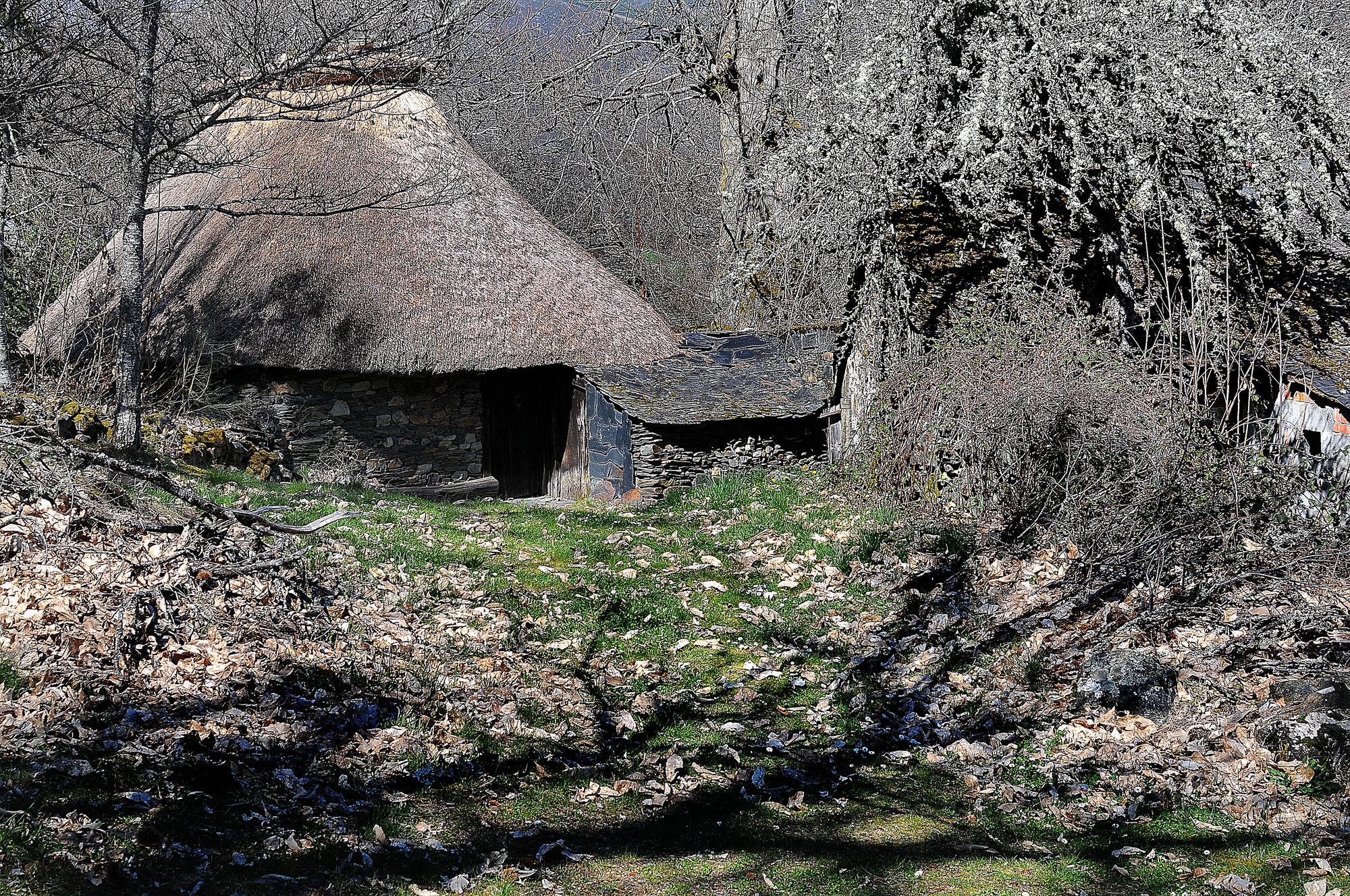 Pallozas Miguel Núñez - 1